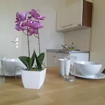 Apartmentpension Am Stadtschloss